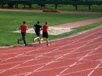 PAVIMENTOS SINTETICOS